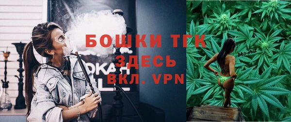 мяу мяу мука Абаза